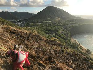 Three thermoplastic turtles enjoying a sunrise over Hanauma bay OlaesMade